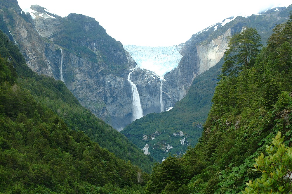 Bosques de la Patagonia