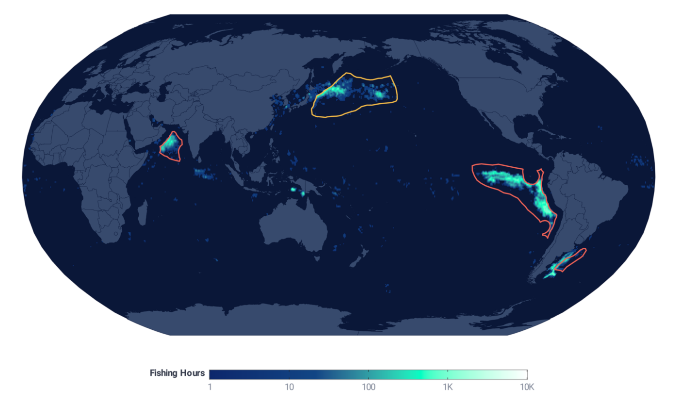 Usando datos de Global Fishing Watch, este mapa muestra claramente las cuatro áreas donde se lleva a cabo el mayor nivel de pesca de calamar. La mayor parte se encuentra fuera de las zonas económicas exclusivas, que generalmente se extienden 200 millas náuticas desde la costa de un país. Los esquemas definen las áreas consideradas para el estudio Science Advances publicado en marzo. Las áreas delineadas en rojo no están reguladas, y el área delineada en amarillo es administrada por la Comisión de Pesca del Pacífico Norte (Gráfico: Katherine L. Seto et al, Fishing through the cracks: The unregulated nature of global squid fishing, Science Advances, CC BY NC)